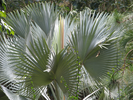 p07.jpg