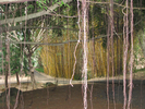 p11.jpg