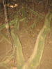 p13.jpg