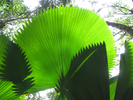 p16.jpg