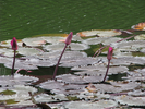 p28.jpg