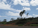 p08.jpg