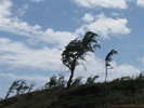 p09.jpg