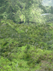p16.jpg