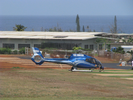 p53.jpg