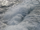 p006.jpg