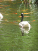 p58.jpg