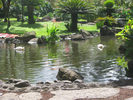 p67.jpg