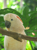 p70.jpg