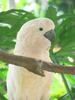 p71.jpg