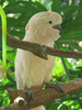 p72.jpg