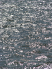 p43.jpg