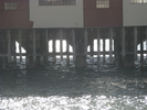 p63.jpg