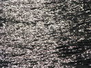 p15.jpg