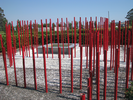 p145.jpg