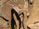 p166.jpg