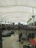 p01.jpg