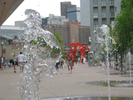 p042.jpg