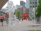 p043.jpg