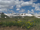 p014.jpg