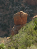p015.jpg