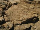 p076.jpg