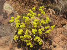 p093.jpg
