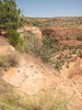 p5.jpg