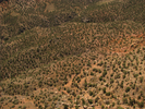 p4.jpg
