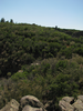 p08.jpg