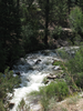 p008.jpg