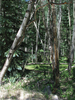 p014.jpg