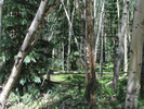 p015.jpg