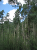 p072.jpg