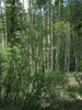 p074.jpg