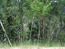 p082.jpg