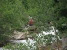 p088.jpg