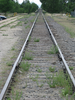 p105.jpg