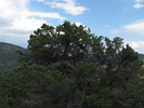 p09.jpg