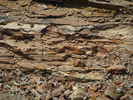 p010.jpg