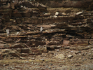 p011.jpg