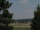 p019.jpg