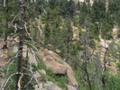 p026.jpg