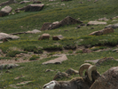p078.jpg