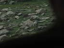 p080.jpg