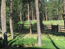 p001.jpg