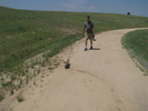 p006.jpg