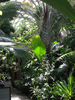 p018.jpg