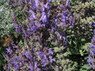 p054.jpg