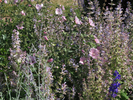 p116.jpg